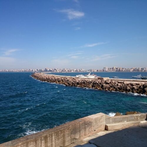 Alexandria Highlights Guided Day Tour